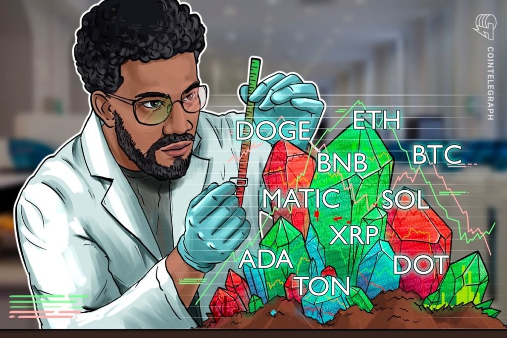 BTC, ETH, BNB, XRP, SOL, ADA, DOGE, TON, DOT, MATIC