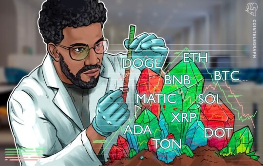 BTC, ETH, BNB, XRP, SOL, ADA, DOGE, TON, DOT, MATIC