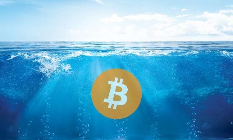 Crypto Twitter Rebukes BBC "Swimming Pool" FUD About Bitcoin's Energy Use