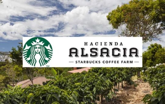 Starbucks Rewards Top Odyssey NFT Holders with Costa Rica Trip