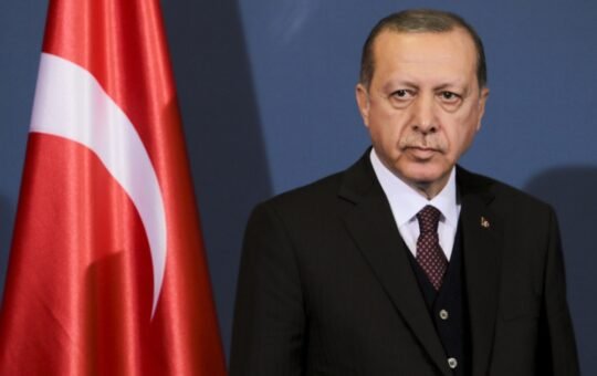 Turkey Names Blockchain Expert to Central Bank Committee