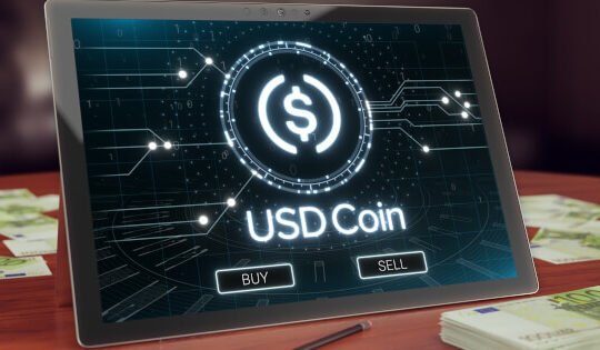 Circle's 2024 USDC Economy Report Reveals Significant Growth in Stablecoin Adoption