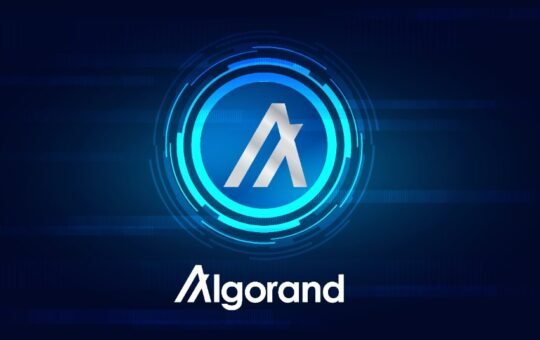 Hedera and Algorand forge an alliance for crypto recovery