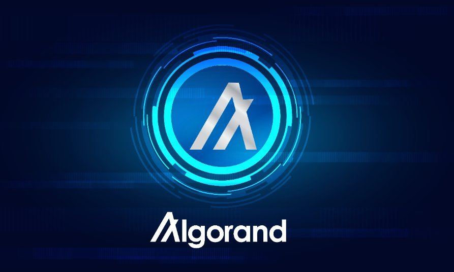 Hedera and Algorand forge an alliance for crypto recovery