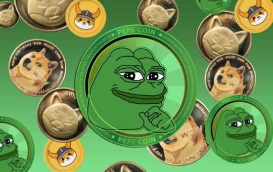 Meme coins