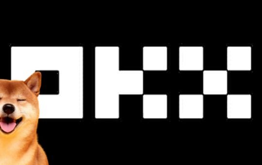 OKX is 'Going All In' with New Inscription Token Standards