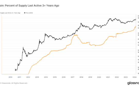 2021 Bitcoin investors showcase long-term holding resilience