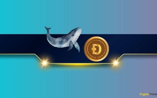 Can the DOGE Price Rally Even More?