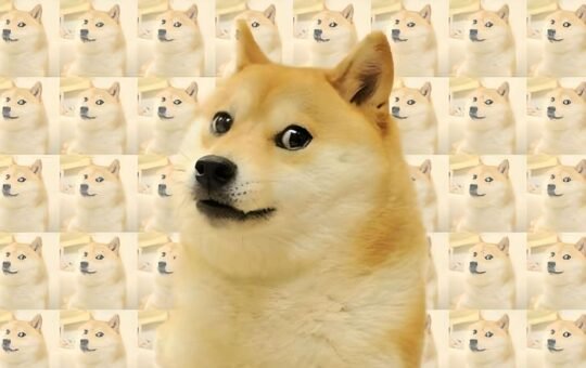 Fractional NFT Ownership Balloons - Doge Leads the Charge
