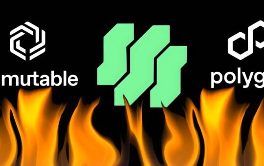 Immutable x Polygon Inject $100M into Web3 Gaming