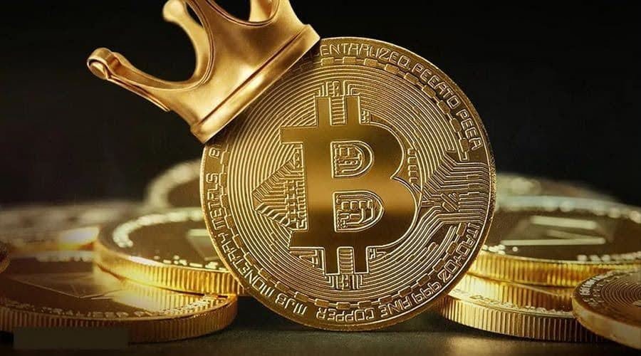 US Govt Moves Nearly $1 Billion in $BTC - Will It Cause a Price Crash? $GFOX ICO Maintains Steady Price Growth