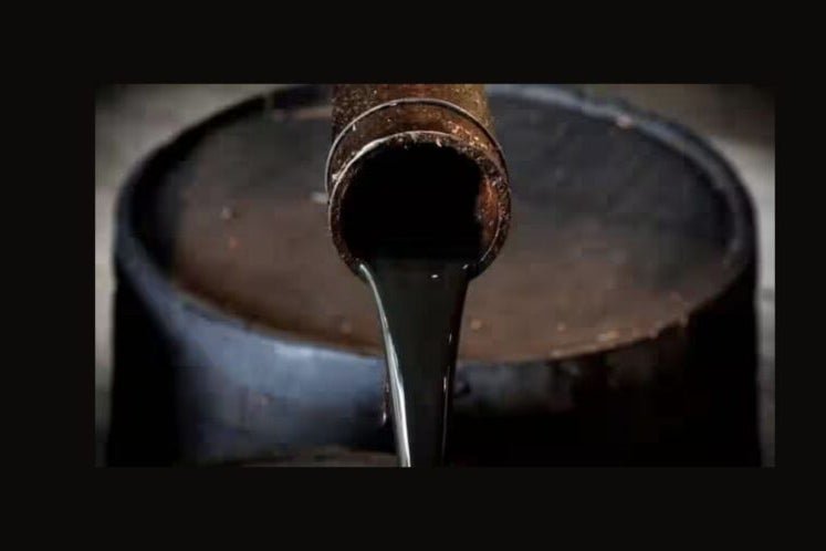 Crude Oil Rises 1%; Dollar Tree Shares Fall After Q1 Results - Dollar Tree (NASDAQ:DLTR)