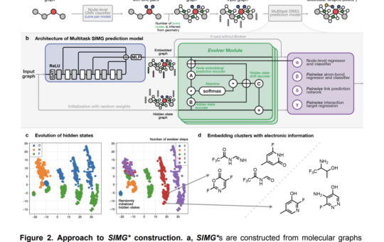 Integrating Stereoelectronic Effects into Molecular Graphs: A Novel Approach for Enhanced Machine Learning Representations and Molecular Property Predictions