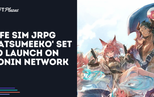 Life Sim JRPG 'Tatsumeeko' Set to Launch on Ronin Network