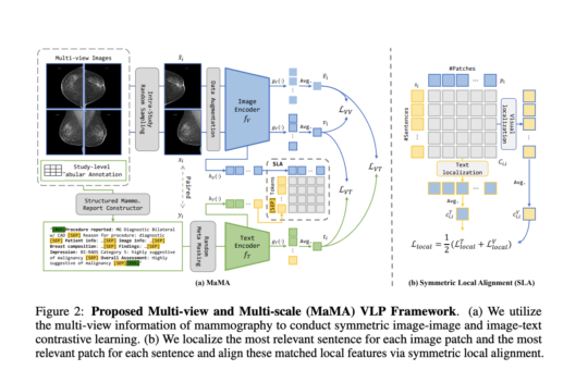 Multi-View and Multi-Scale Alignment (MaMA): Advancing Mammography with Contrastive Learning and Visual-Language Pre-training