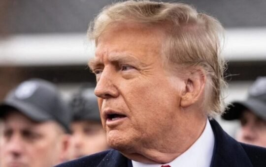 Trump's Cannabis Endorsement - Marijuana Industry Responds: 'We Have Two Candidates' Who Are Pro-Marijuana - Curaleaf Holdings (OTC:CURLF), Trulieve Cannabis (OTC:TCNNF)