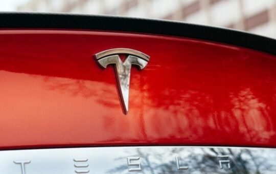 Tesla Owners Who Don't Like Musk Are Letting Bumper Stickers Do The Talking - Tesla (NASDAQ:TSLA)