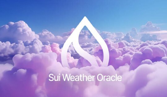 Sui's DeFi Ecosystem Thrives in Q4 2024 with Record Growth