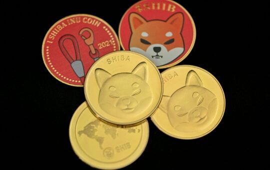 Shiba Inu