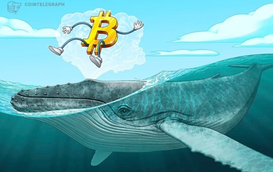 Bitcoin price falls toward range lows, but data shows ‘whales going wild right now’