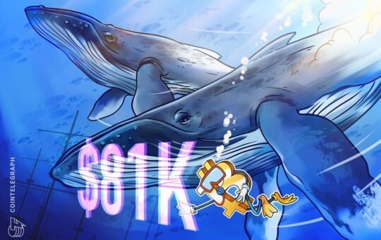 Bitcoin whale accumulation trend mirrors 2020-era bullish activity after BTC price bounces off $81K