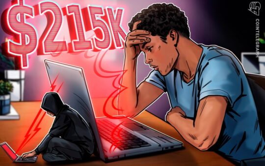 Crypto trader gets sandwich attacked in stablecoin swap, loses $215K