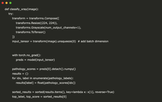How to Build a Prototype X-ray Judgment Tool (Open Source Medical Inference System) Using TorchXRayVision, Gradio, and PyTorch