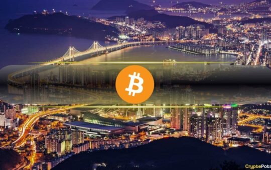 No Strategic Bitcoin Reserve in South Korea: Report