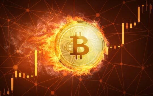 Canaan Inc. Submits 2024 Annual Report to SEC