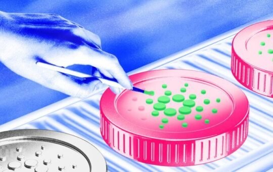 Cardano (ADA) Price Eyes Recovery As Bulls Try To Gain Control