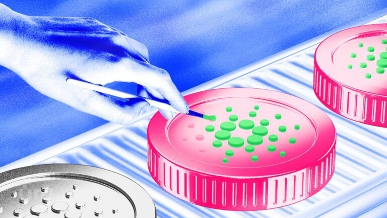 Cardano (ADA) Price Eyes Recovery As Bulls Try To Gain Control