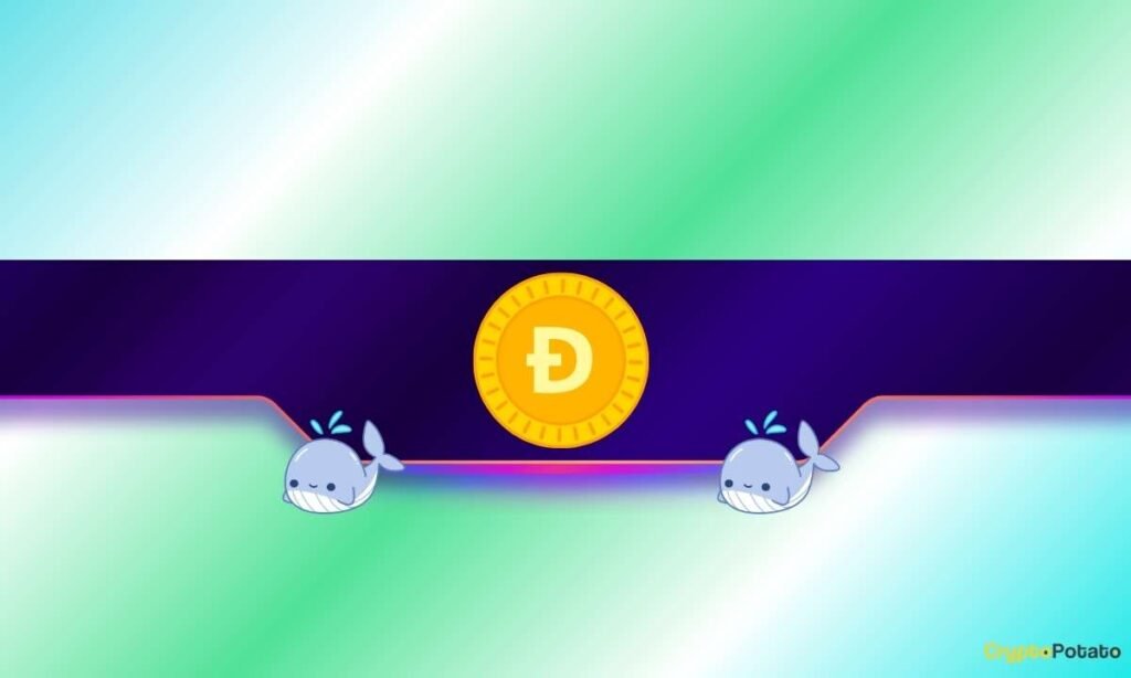 DOGE Price Moves as Dogecoin Whales Go on Buying Spree