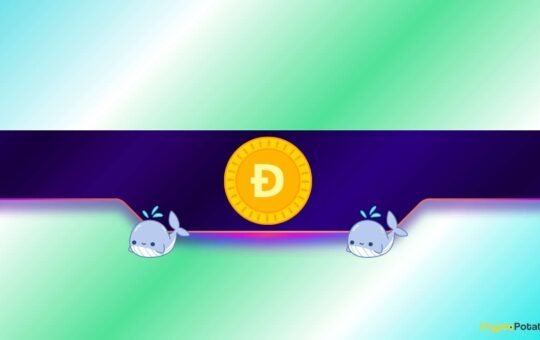 DOGE Price Moves as Dogecoin Whales Go on Buying Spree