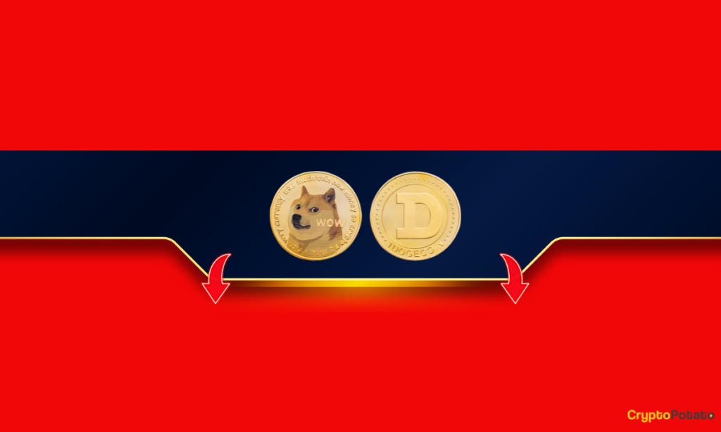 Is This the Final Chapter for Dogecoin's Bull Run? Assessing Musk's Recent Comments