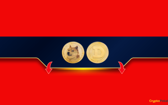 Is This the Final Chapter for Dogecoin's Bull Run? Assessing Musk's Recent Comments