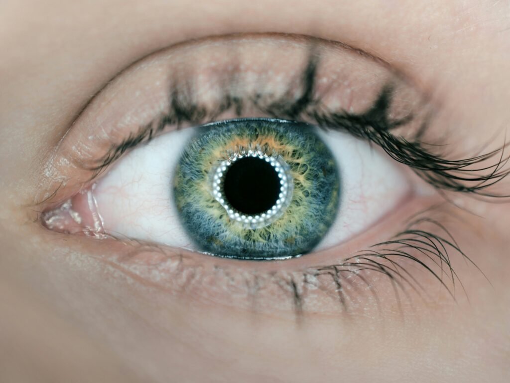 Human eye as the Fundamental AI Research (FAIR) team at Meta announces five projects advancing the company's pursuit of advanced machine intelligence (AMI) with significant boosts to enhancing perception abilities for use cases including robotics and agents.