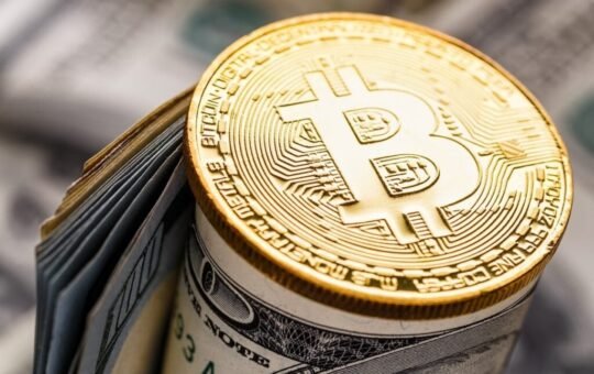 Ark Invest's Warning To Bitcoin Treasury Companies, Peter Schiff's BTC Prediction And More: Top Crypto Updates This Week