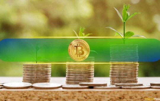 BTC Price Slips as Long-Term Bitcoin Holders Begin to Take Profits