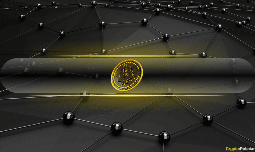 Report Debunks Bitcoin ‘Safe Haven’ Narrative, Highlights Diversification Role