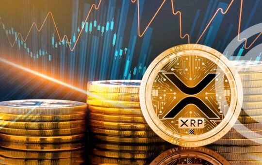 XRP investment