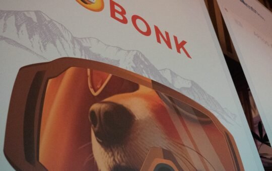 Bonk.fun Grabs 55% of Solana Token Issuance Share, Drives Buying Pressure on BONK