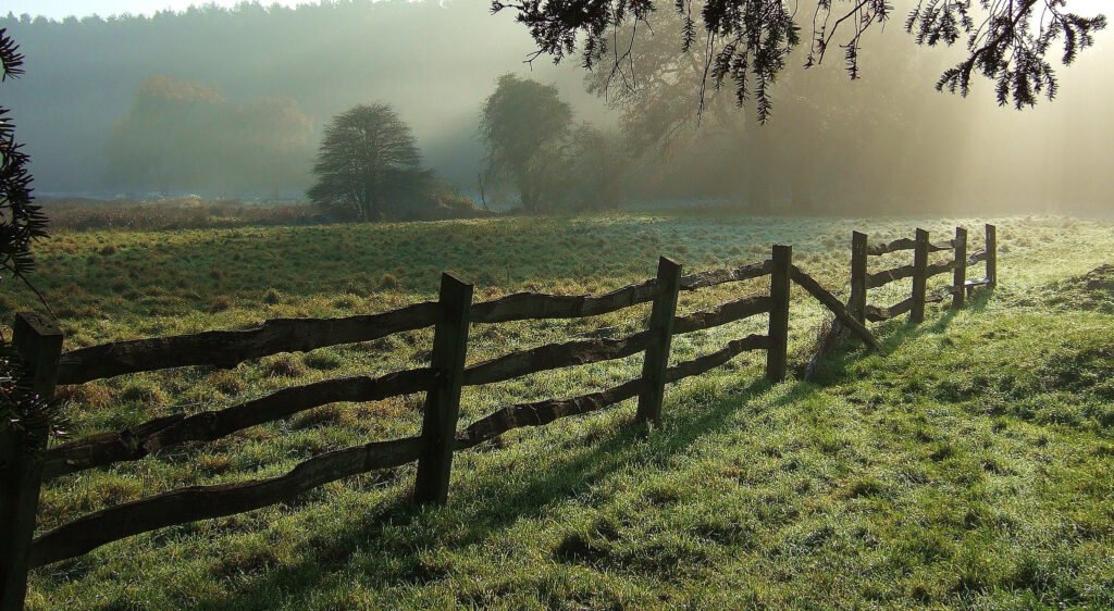 Illustrative image for article on private AI. "Fence" by foilman is licensed under CC BY-SA 2.0.