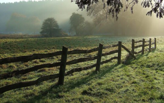 Illustrative image for article on private AI. "Fence" by foilman is licensed under CC BY-SA 2.0.