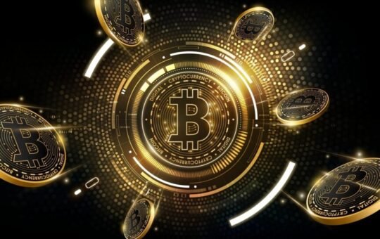 Scams, Lost Keys, and Forgotten Wallets: The Bitcoin Whisperer Who Brings Crypto Back