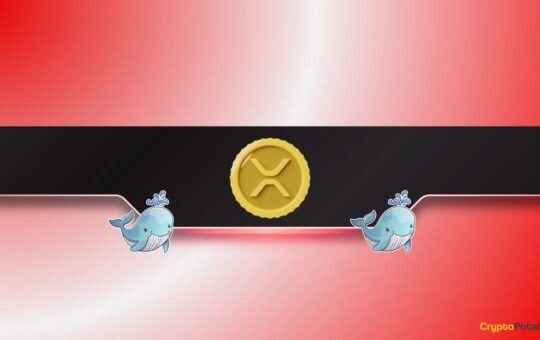 Whales Bought the XRP Dip While DOGE Hits Key Accumulation Zone: Details