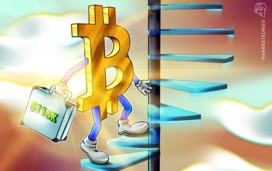 Bitcoin Price Targets Match Key Liquidity Wall Near $116,000