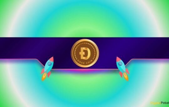 DOGE Season Not Started Yet