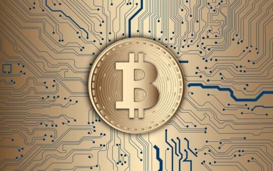 How Do Traders Make Money in Crypto Even in a Blood Market?