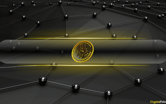 Bitcoin Leverage Flush Wipes Out $8B in Open Interest as Whales Accumulate