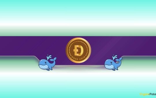 480,000,000 DOGE Snapped Up by Whales in 48 Hours: What’s Coming?